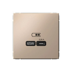 USB розетка тип-С 65Вт высокоскоростная зарядка QC, PD, механизм, песочный ArtGallery - фото