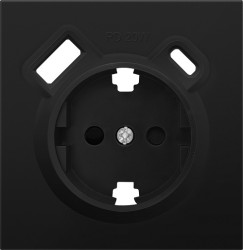 Donel R98 матовый карбон накладка для розетки Schuko с зарядным устройством USB A+C, с защитными шторками , серия DA - фото