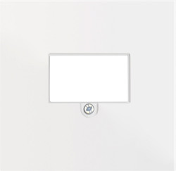 Donel R98 белый накладка стандарта TAE для розеток USB, HDMI, Аудио, серия DA - фото