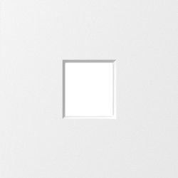 Donel A07 матовый белый накладка 1-я для розеток RJ45,TV,SAT , серия DB - фото