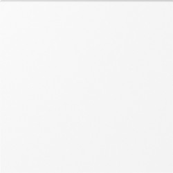 Donel A07 глянцевый белый клавиша для перекрёстного переключателя 1-я, серия DB - фото