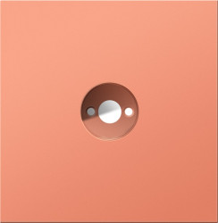 Donel R98 матовый коралл накладка для базы с драйвером светильника поворотного 6Вт., серия DN98 - фото