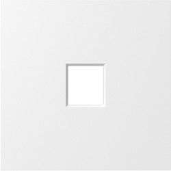 Donel S08 матовый белый накладка 1-я для розеток RJ45,TV,SAT , серия DB - фото